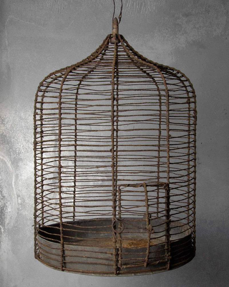 
                  
                    Old Rusty Bird Cage
                  
                